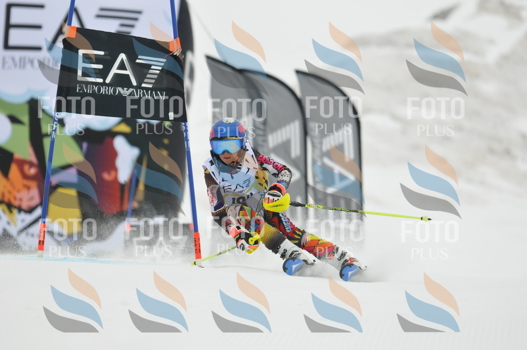 DSC_8685 | holidayphoto