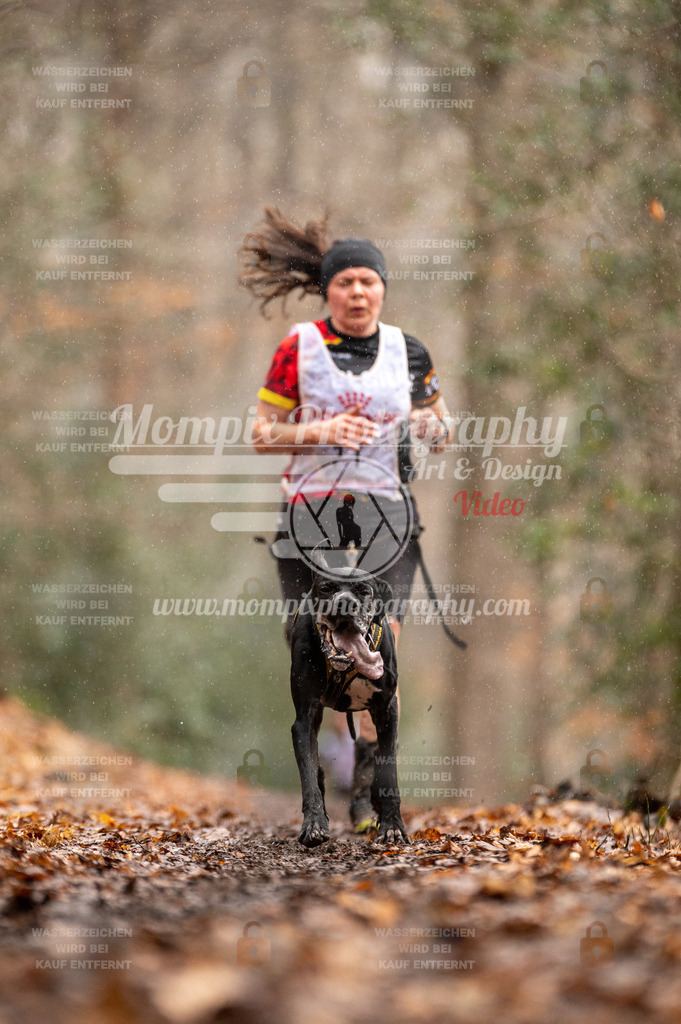 SPA_2023_DIM_CCL-34 | PayLife