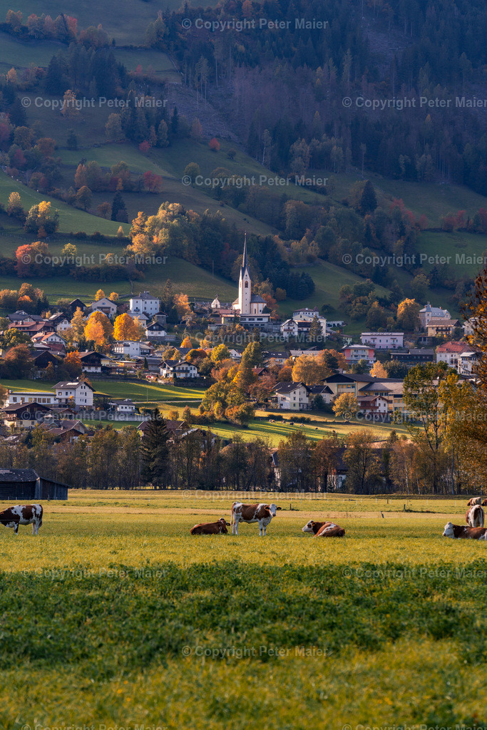 Winklern_Herbst_22-37 | piet_flosse