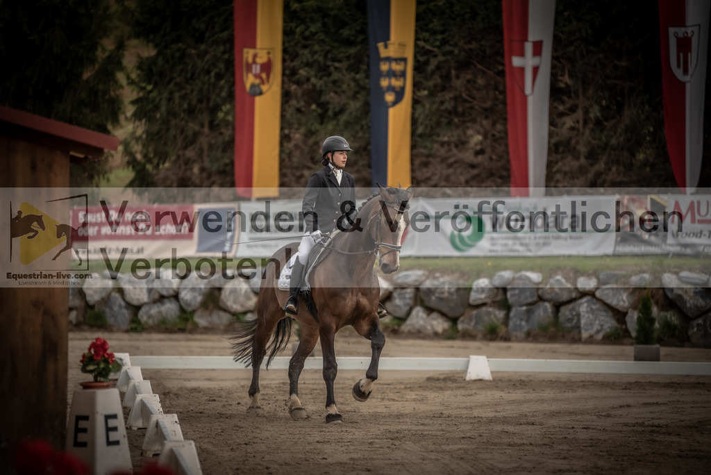 DSC_8344 | equestrian-live-com