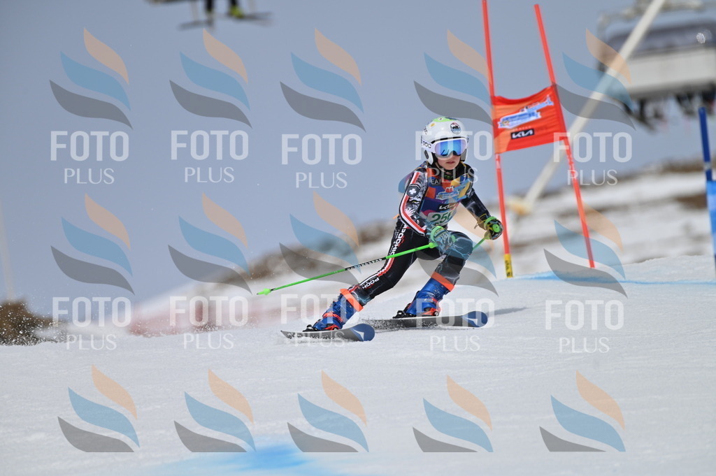 BGV_5075 | holidayphoto