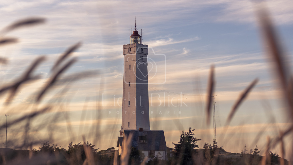7M301352-1 | <licht-blick-fotografie><shooting><portraitshooting><tiershooting><landschaftsbilder><shootingbuchen><buchen><fotografbremen> <fotograf niedersachsen><fotografin Bremen und niedersachsen><carshooting><automobilfotografie><auto> - Realisiert mit Pictrs.com