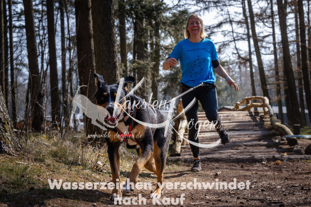 1334_ZZ95649 | kk-dogfotos
