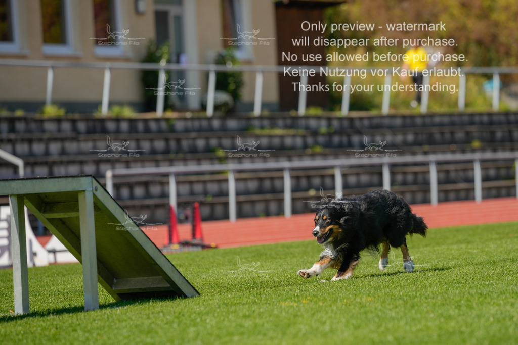 Sonntag_VK Hindernis (405 von 671) | stephaniefillaphotographie - Realisiert mit Pictrs.com