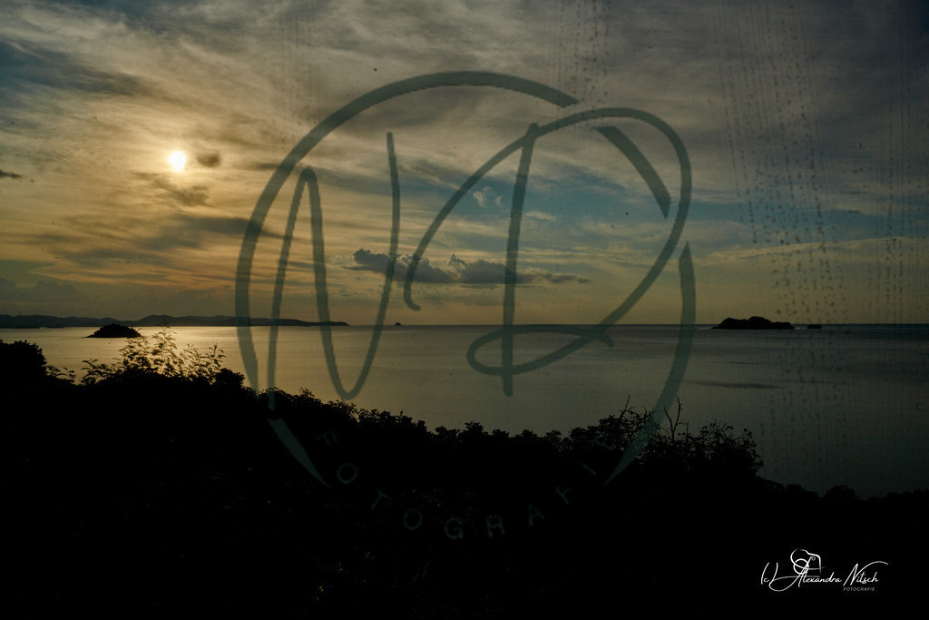 ndfoto_DSC_1092_Original (priv. Nutzung)_1d0060a8_ | nitsch-dingeldein fotografie - Realisiert mit Pictrs.com