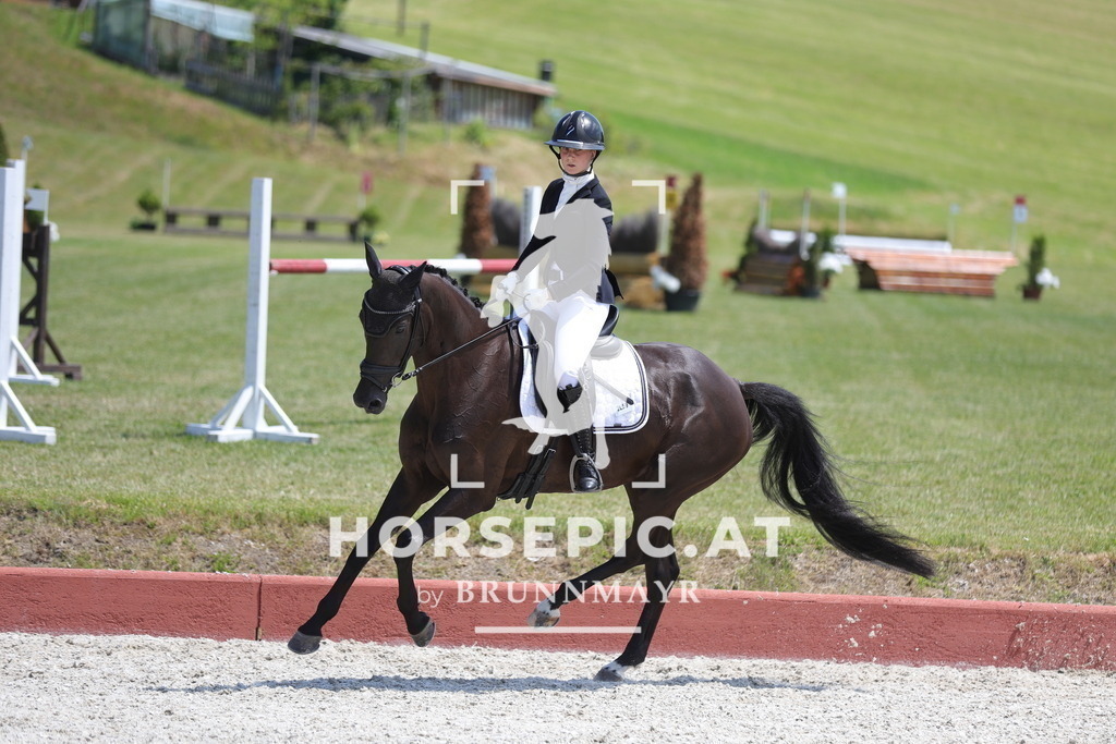 0P6A1235 | Willkommen bei Brunnmayr - Design & Fotografie – Ihrem Spezialisten für Reitturniere und Pferdeveranstaltungen in Oberösterreich, Salzburg und Bayern! Seit über 17 Jahren sind wir leidenschaftlich dabei.