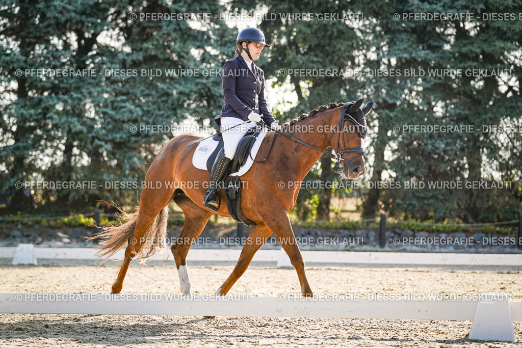 DSC08669 | Pferdegrafie