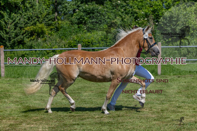 _MG_1583 | mandyhollmannphotographie