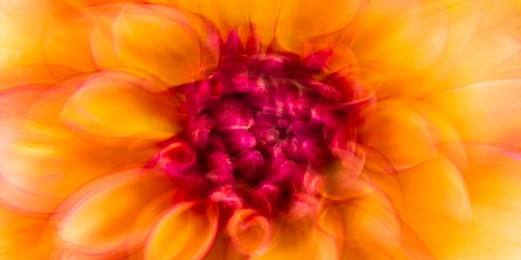 ICM Nahaufnahme einer orangefarbene Gallery-Dahlie. | Best. Nr. d_2020_06_0092. Einen Anwendungsvorschlag finden Sie hier: https://shop.soulimages.eu/img/6vl2oy (Großraumbüro/Coworking Space). Das Bild ist auch Teil eines Triptychons, Sie finden dieses in der Galerie Nimm drei - Pflanzen abstrakt - Realisiert mit Pictrs.com