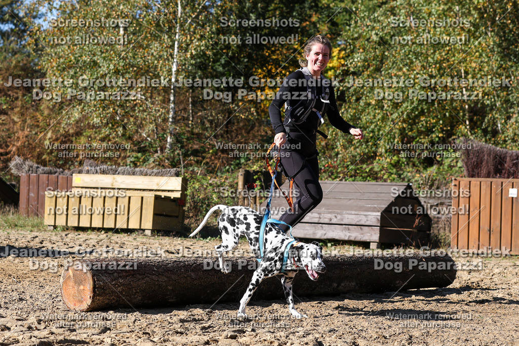 Dog Paparazzi - Strongdog 10-25-2771 | Dog Paparazzi Jeanette Grottendiek Fotografie & Videografie - Realisiert mit Pictrs.com