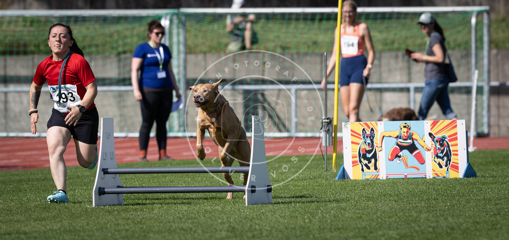 Pfotenfotografie_DV3A0649 | Hundefotografie, Tierfotograf, Pfotenfotografie, Fotoshooting Hund, Hunde Portrait, Hundesport, Hundeportraits, Heideshooting, Hunde, Sportfotograf, Hundefotograf, Turnierhundsport, THS,  - Realisiert mit Pictrs.com