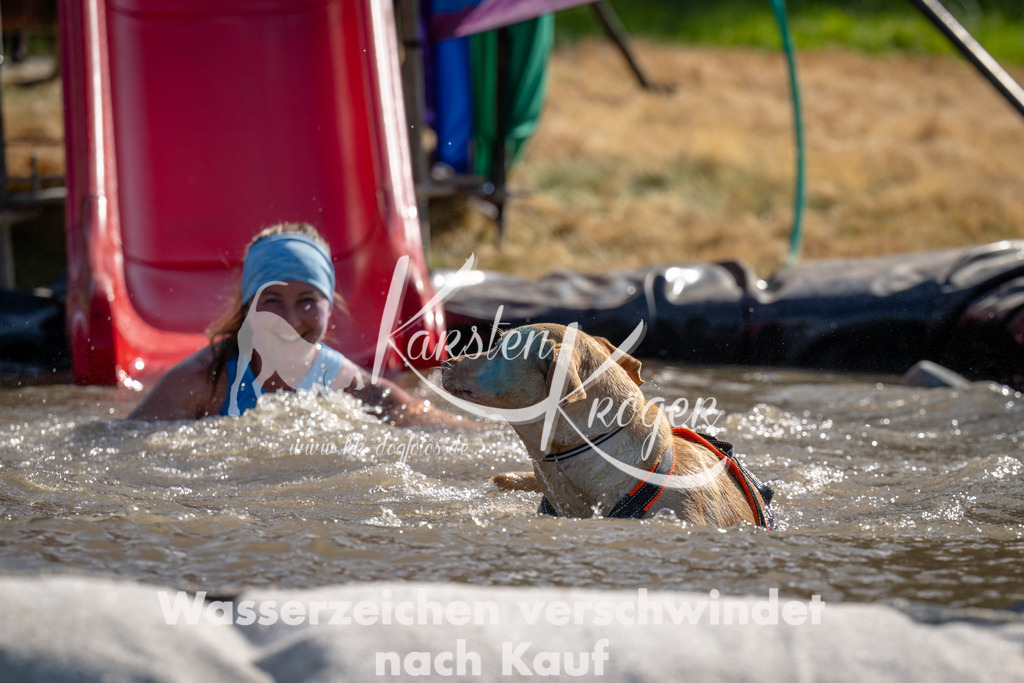 1553_ZZ91314 | kk-dogfotos