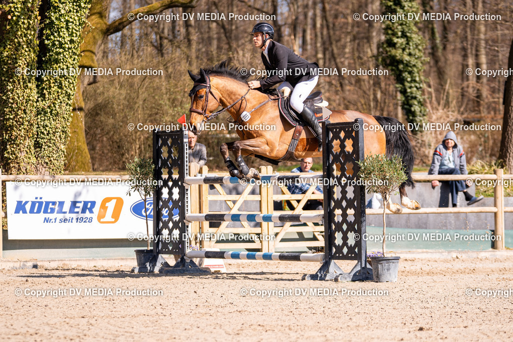 Kranichstein Tag 2-847 | dv-media-shop - Realisiert mit Pictrs.com