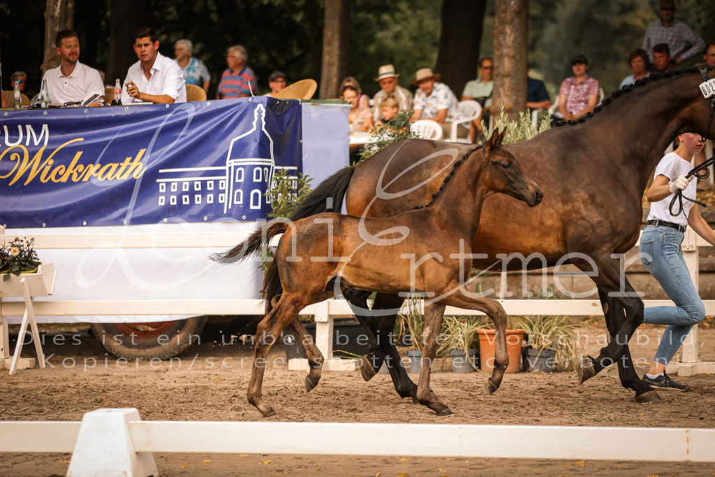 SaPA00326 | Leoni Ertmer Photography - Realisiert mit Pictrs.com