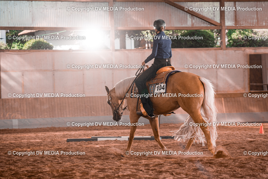 NE200216 | dv-media-shop - Realisiert mit Pictrs.com