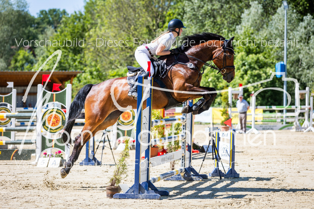 Donop24-M-Spr-062 | MomenTaufnahmen Pferdesportfotos