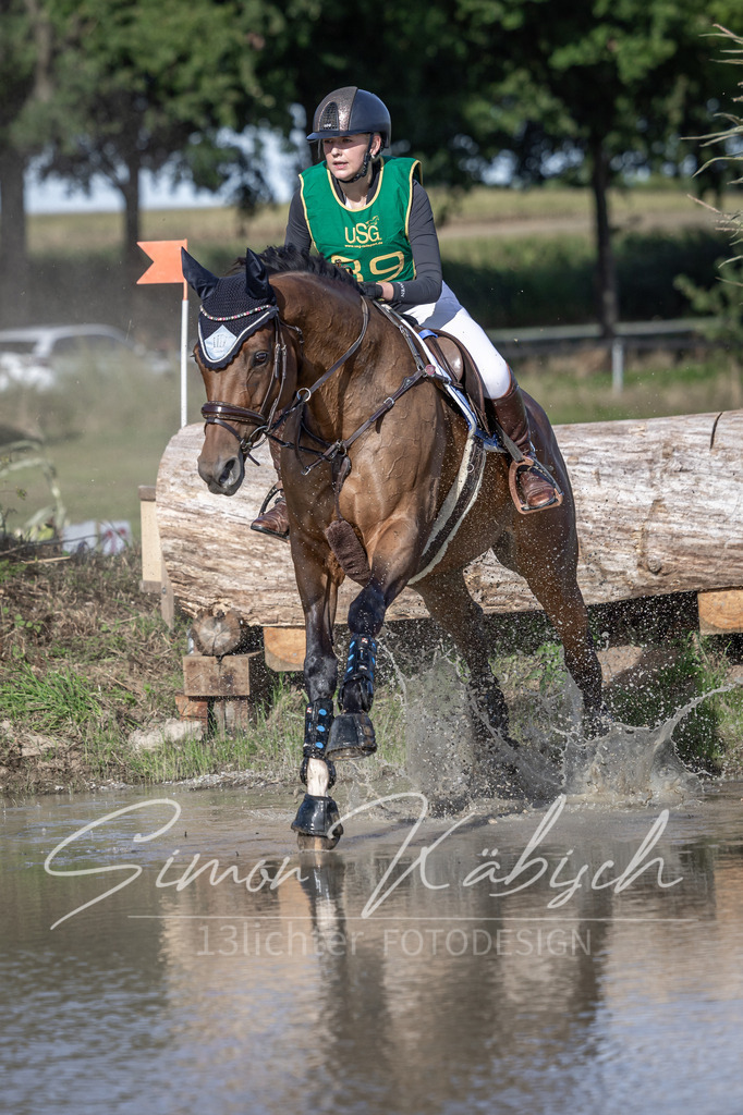 20250907-_3LI4051 | Tierfotografie Pferde, Hunde, Katzen, Haustiere.
Turnierfotografie Reitturniere, Reiten, Springreiten, Dressur in Hanau, dem Main-Kinzig-Kreis und dem Rhein-Main- Gebiet um Frankfurt