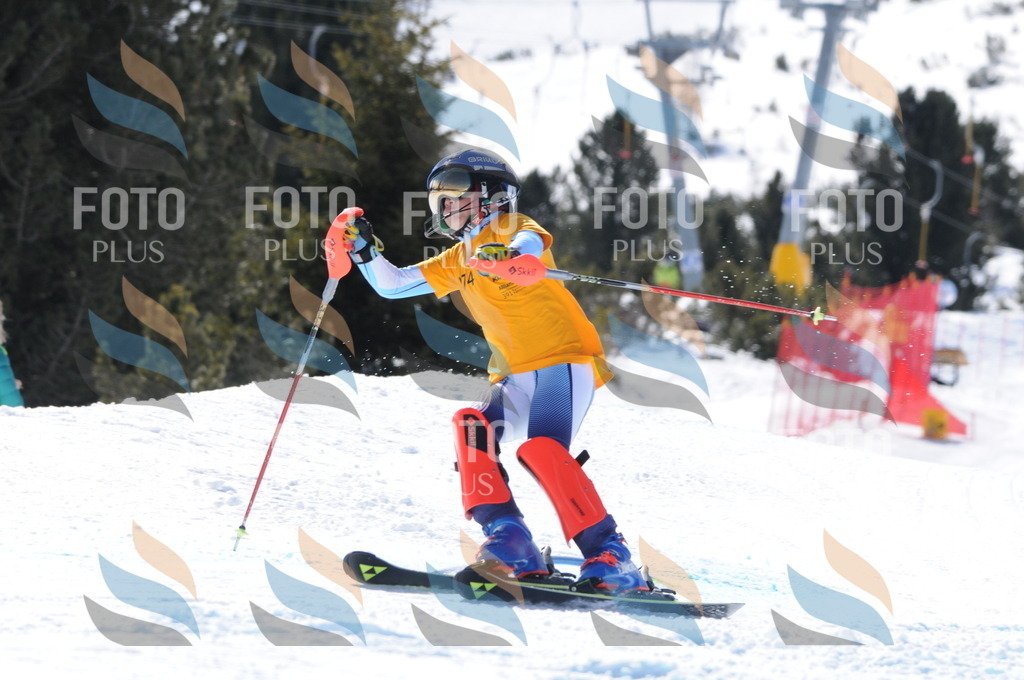 C8990 | holidayphoto