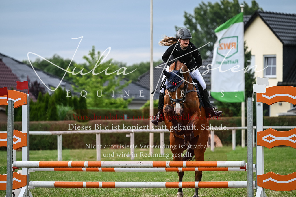 DSC_8322 | Pferde- und Turnierfotografie in Westsachsen. Pferdeportraits, Auftragszeichnungen und intuitive Kunst.