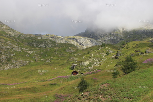 IMG_2316 | Raphael - Realisiert mit Pictrs.com