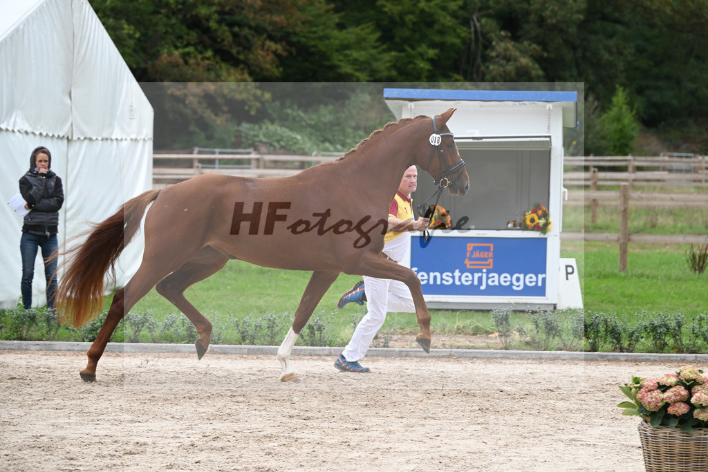 Kat-Nr. 18 Fiorella_Knoll GbR_49221237 | hf-fotografie - Realisiert mit Pictrs.com