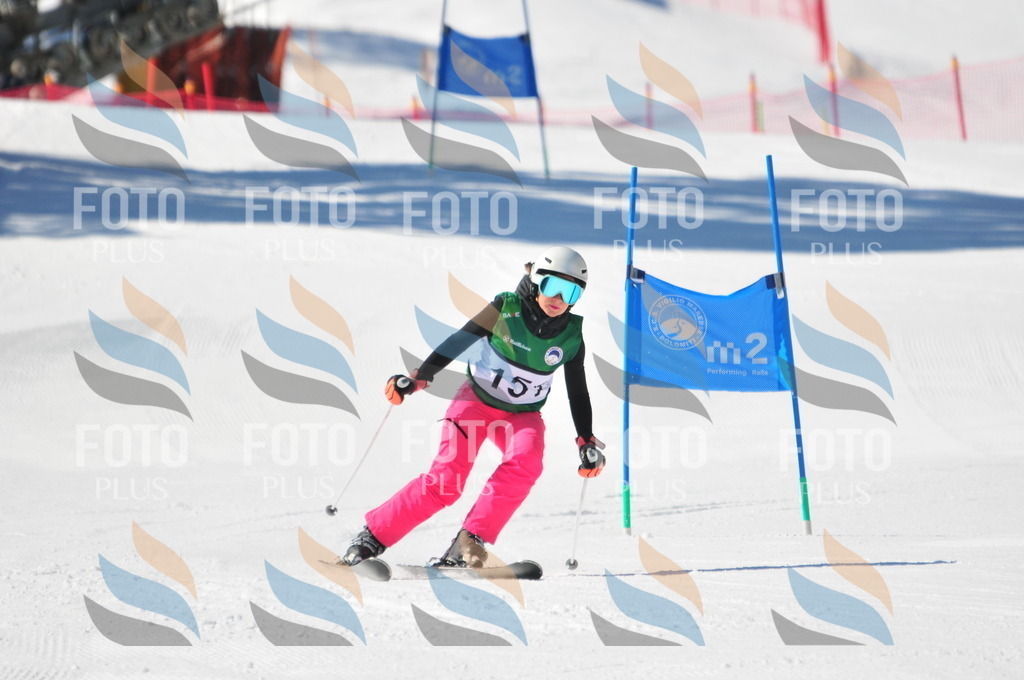 C4055 | holidayphoto