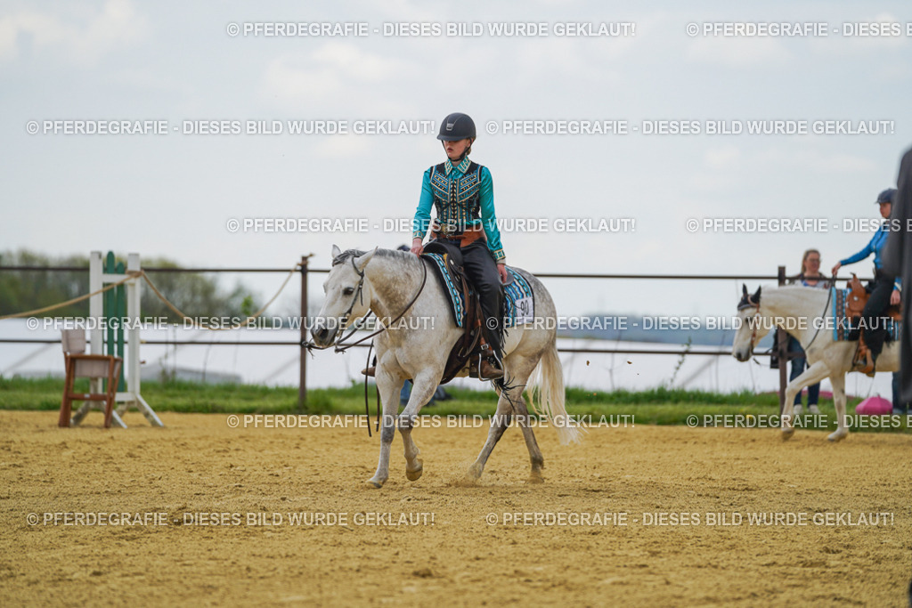 DSC06508 | Pferdegrafie