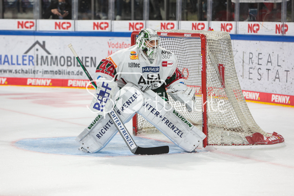 Nuernberg ICE Tigers - Augsburger Panther | Dennis ENDRAS (AEV #44) in Aktion