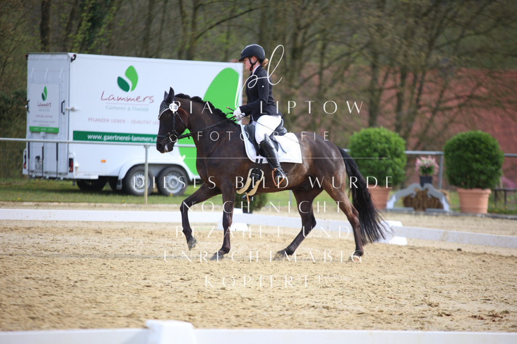 IMGT7011 | pl-fotografie