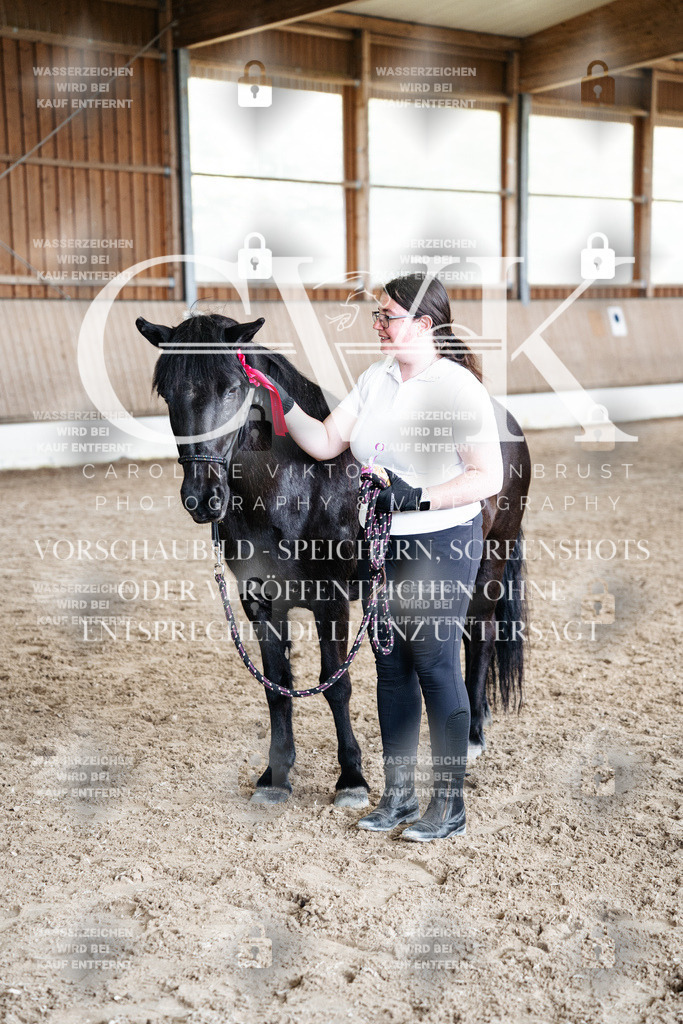 CK703297 | Turnierfotografie Pferdefotografie Trier Rheinland-Pfalz Pferdesport Reitsport Tierfotografie Sportfotografie Pferdevideo Pferdevideografie Equestrianvideography equestrianphotography  - Realized with Pictrs.com