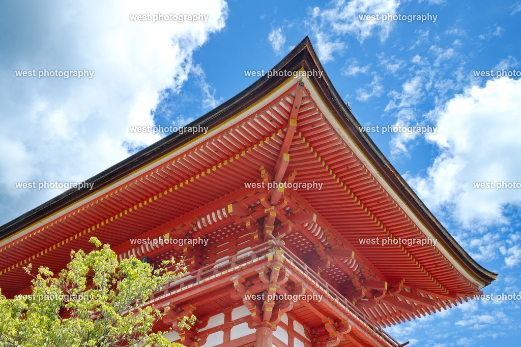 Kiyomizu-dera Temple - JPN 2025 | west photography - Realisiert mit Pictrs.com