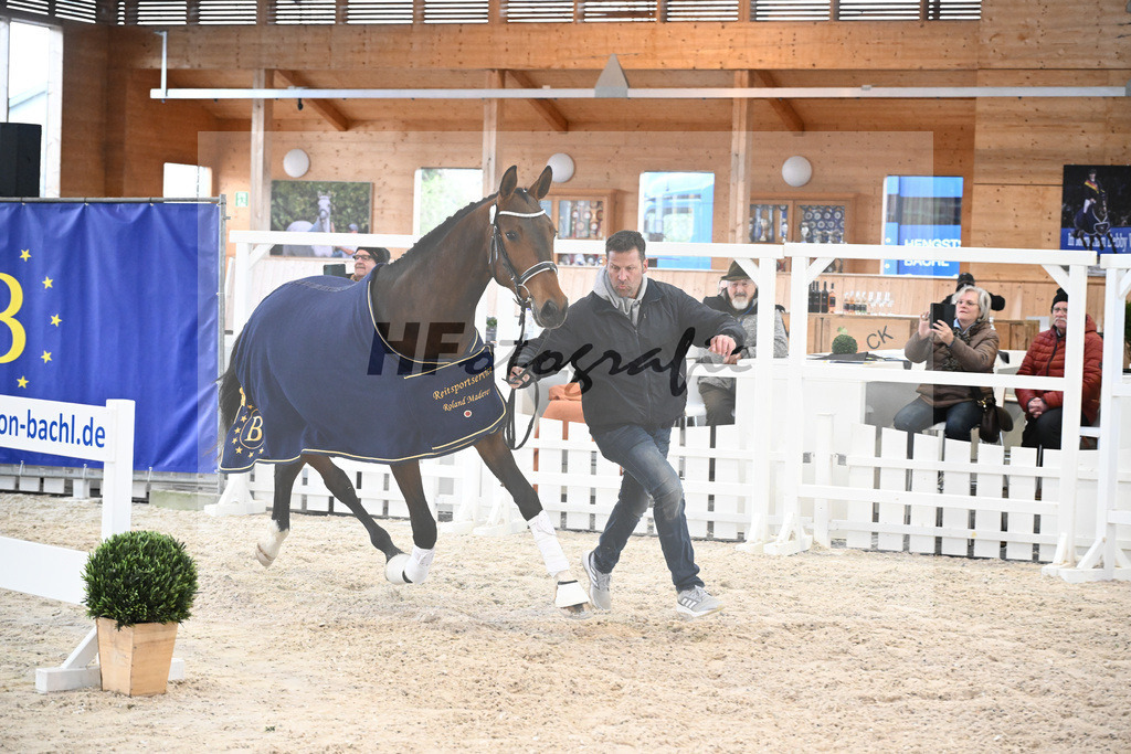 Kat-Nr. 92 Tamino AK v. Total Spezial_Wimmer_7241743 | hf-fotografie - Realisiert mit Pictrs.com