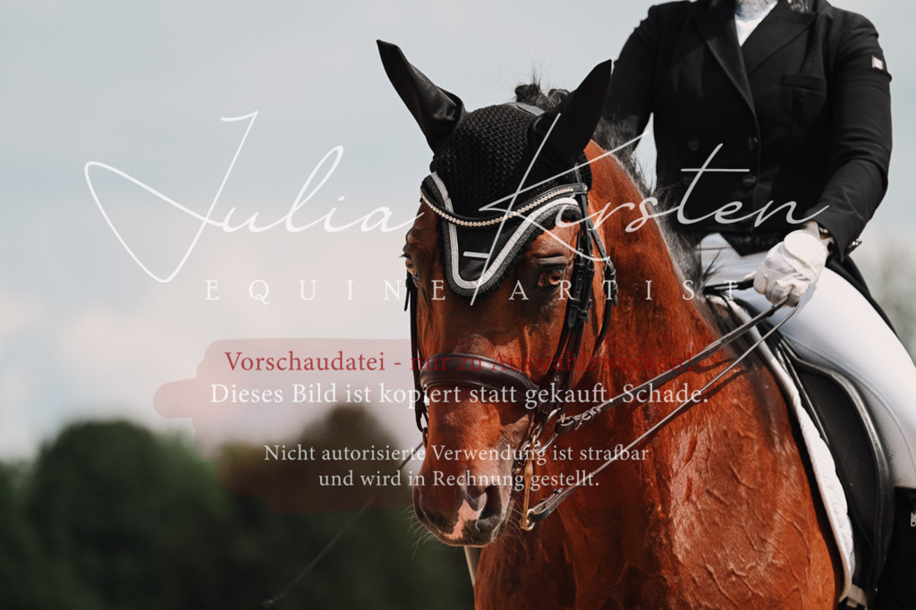 DSC_4361 | Pferde- und Turnierfotografie in Westsachsen. Pferdeportraits, Auftragszeichnungen und intuitive Kunst.