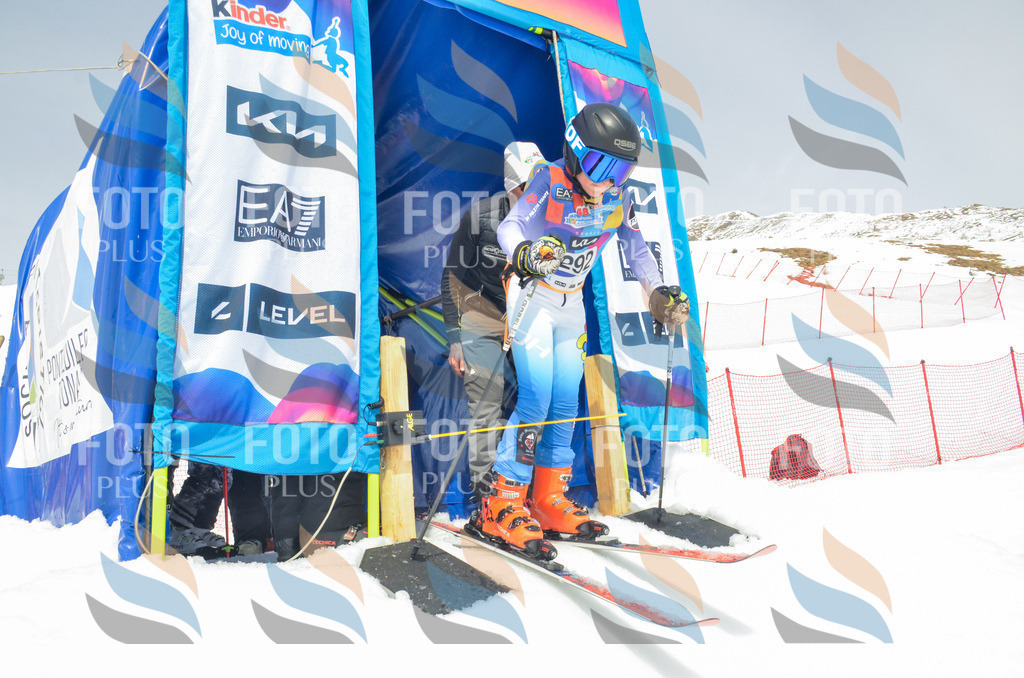 _ELE8119 | holidayphoto