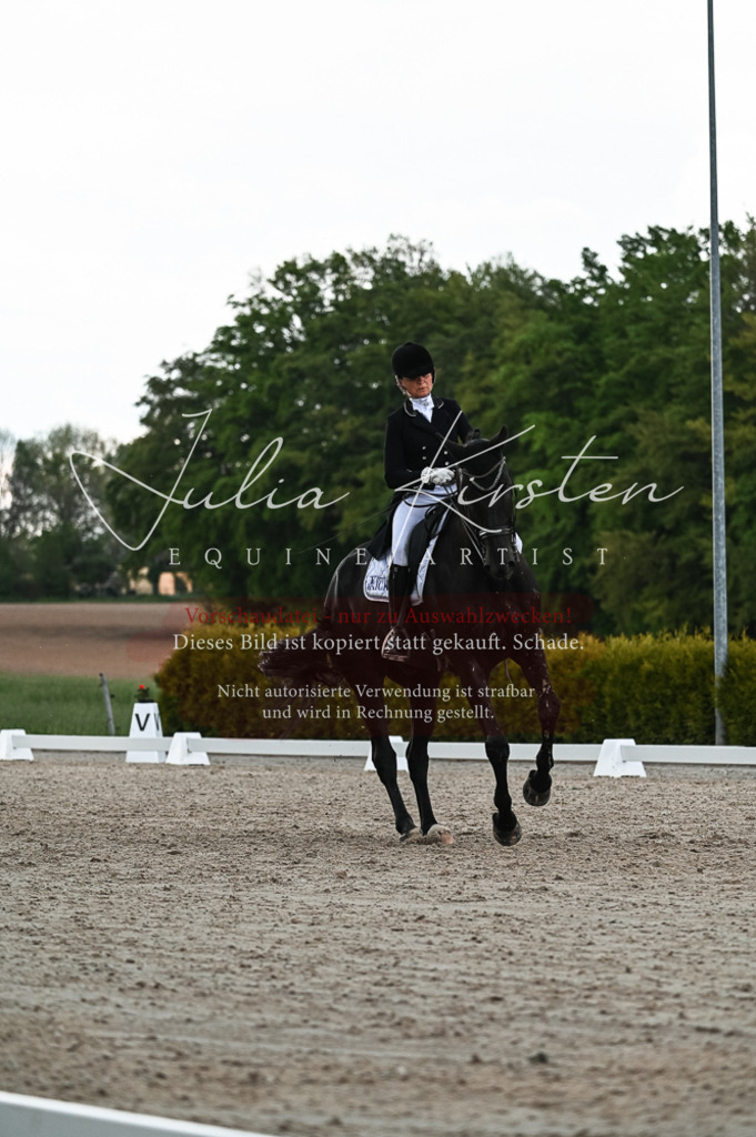 20230514_JK-Röhrsdorf-21-464 | Pferde- und Turnierfotografie in Westsachsen. Pferdeportraits, Auftragszeichnungen und intuitive Kunst.
