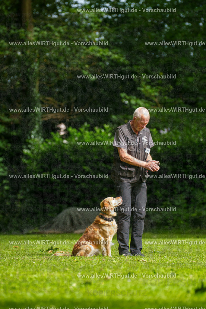 @allesWIRTHgut_Tierfotografie - www.allesWIRTHgut.de - 093115-7R507239 | Professionelle Tierfotografie in Mönchengladbach von Daniel Wirth (allesWIRTHgut). Liebevolle & natürliche Bilder von Hunden & Katzen für unvergessliche Erinnerungen.