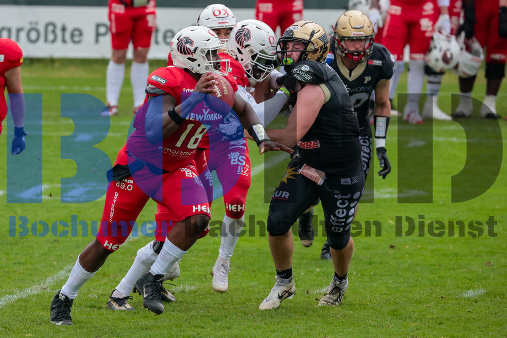 GFL: Paderborn Dolphins vs. New Yorker Lions{date} -  | {headline}(Foto: Sebastian Sendlak / BOND) - Realisiert mit Pictrs.com
