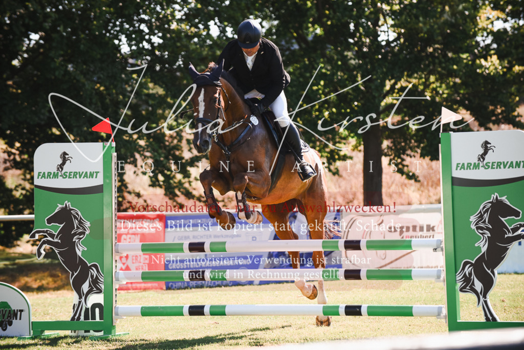 DSC_2486 | Pferde- und Turnierfotografie in Westsachsen. Pferdeportraits, Auftragszeichnungen und intuitive Kunst.