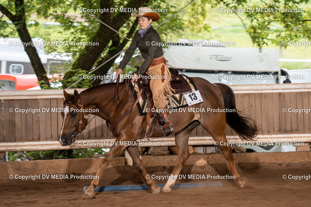 Erbach Tag 2-451 | dv-media-shop - Realisiert mit Pictrs.com