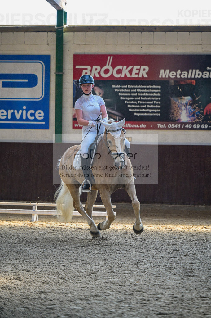 Reitturnier Voxtrup | Entdecke hochwertige Reitturnierfotos von Foto Oger. Professionell, emotional und authentisch – jetzt Lieblingsmomente im Shop bestellen.Deutschlandweite Turnierfotografie. - Realisiert mit Pictrs.com