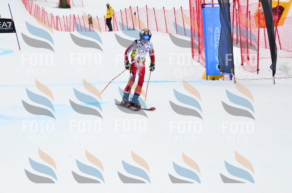 _ELE3923 | holidayphoto