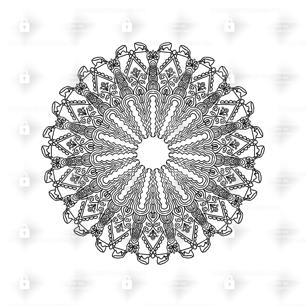 72Seite | fotografinelsa