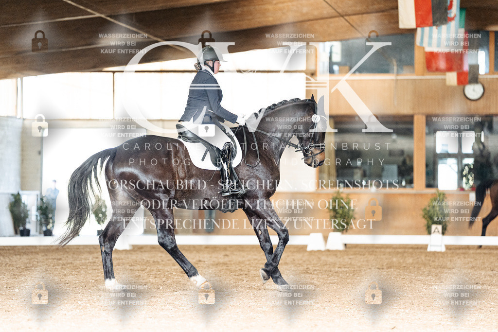 CK902292 | Turnierfotografie Pferdefotografie Trier Rheinland-Pfalz Pferdesport Reitsport Tierfotografie Sportfotografie Pferdevideo Pferdevideografie Equestrianvideography equestrianphotography  - Realisiert mit Pictrs.com