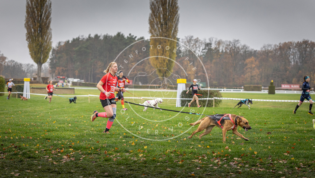 CaniXpix_DV3A8872 | Hundefotografie, Tierfotograf, Pfotenfotografie, Fotoshooting Hund, Hunde Portrait, Hundesport, Hundeportraits, Heideshooting, Hunde, Sportfotograf, Hundefotograf, Turnierhundsport, THS,  - Realisiert mit Pictrs.com