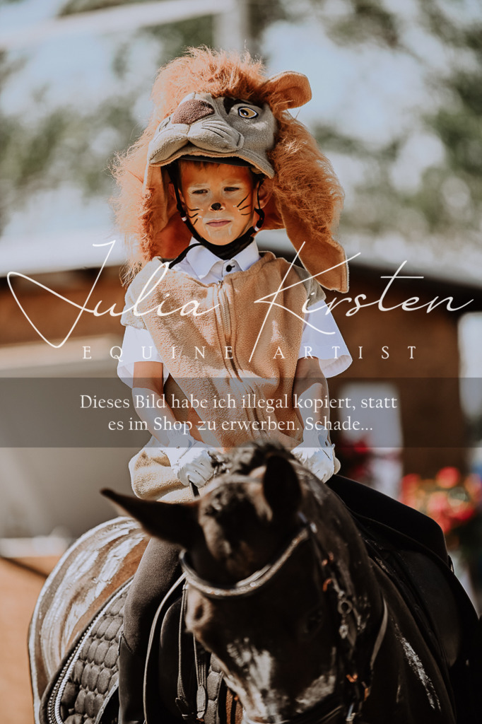 DSC_9111 | Pferde- und Turnierfotografie in Westsachsen. Pferdeportraits, Auftragszeichnungen und intuitive Kunst.