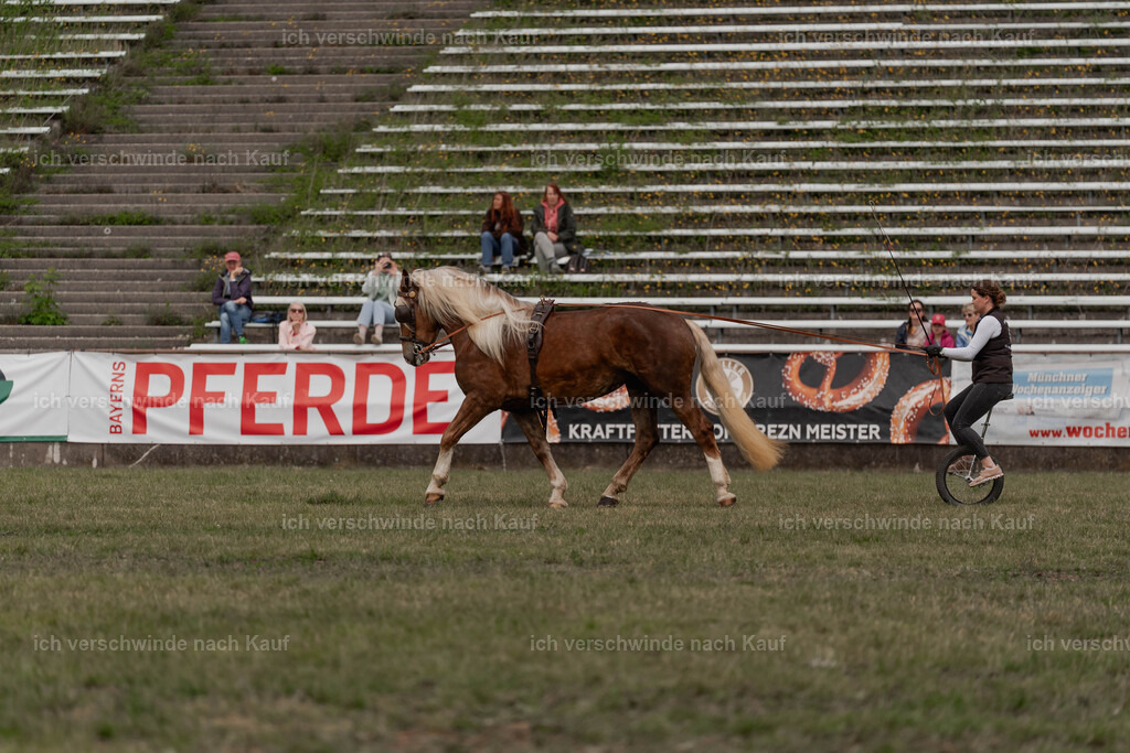 Showprogramm-351 | working equitationturnier fotograf videograf stoibphotography marixx film working equitation deutschland reitsport turnierfotografie eventfotografie equestrian events