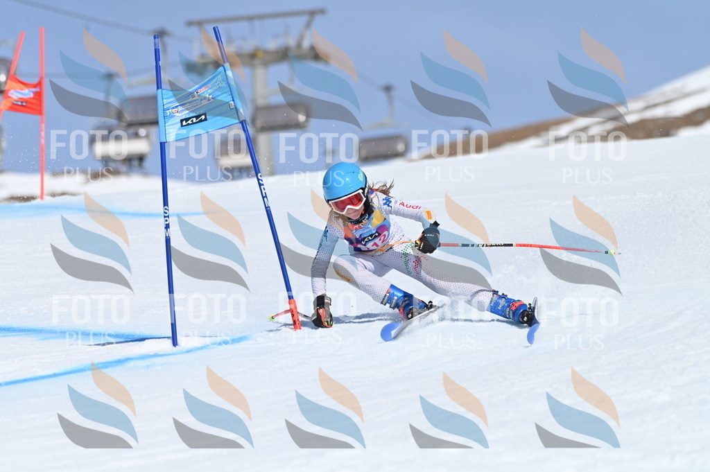 BGV_9662 | holidayphoto