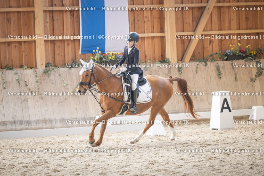 _D5A5669 | Emotionale Pferde- & People-Fotografie rund um Heidelberg, Leimen & Umgebung. Natürliche Fotos von Pferd, Mensch & Familie. Jetzt Termin sichern!