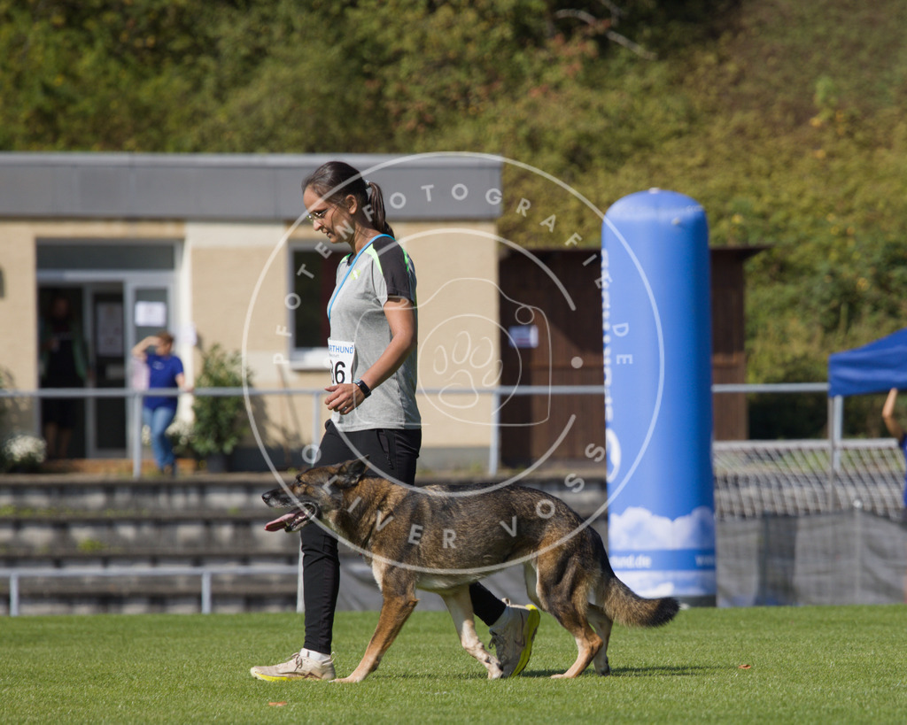 0L8A2553 | Hundefotografie, Tierfotograf, Pfotenfotografie, Fotoshooting Hund, Hunde Portrait, Hundesport, Hundeportraits, Heideshooting, Hunde, Sportfotograf, Hundefotograf, Turnierhundsport, THS,  - Realisiert mit Pictrs.com