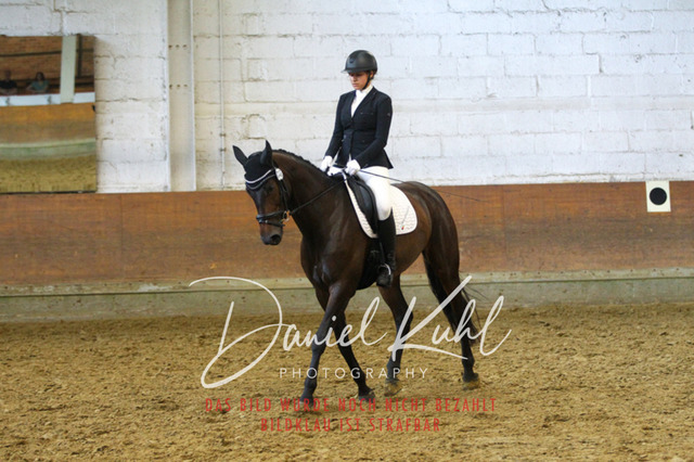 DKP43744 | Turniersportfotografie; Pferdefotografie; Dressurfotografie